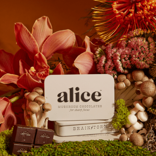 A cream colored tin of Alice brand mushroom chocolates placed in a flowery decorative setting