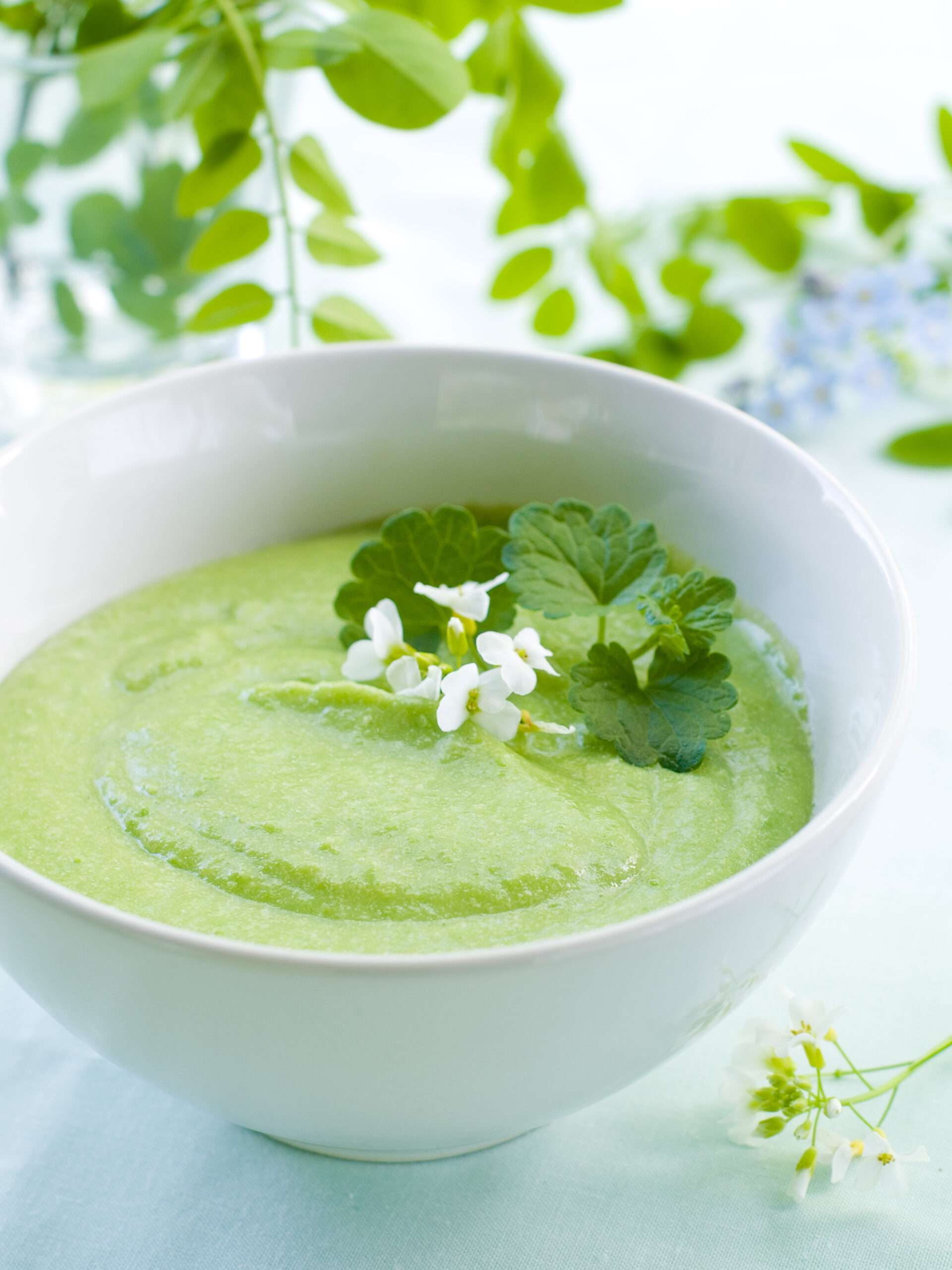 Pea cream soup with cilantro flower as a garnish in white bowl on a table with decorative cilantro flower